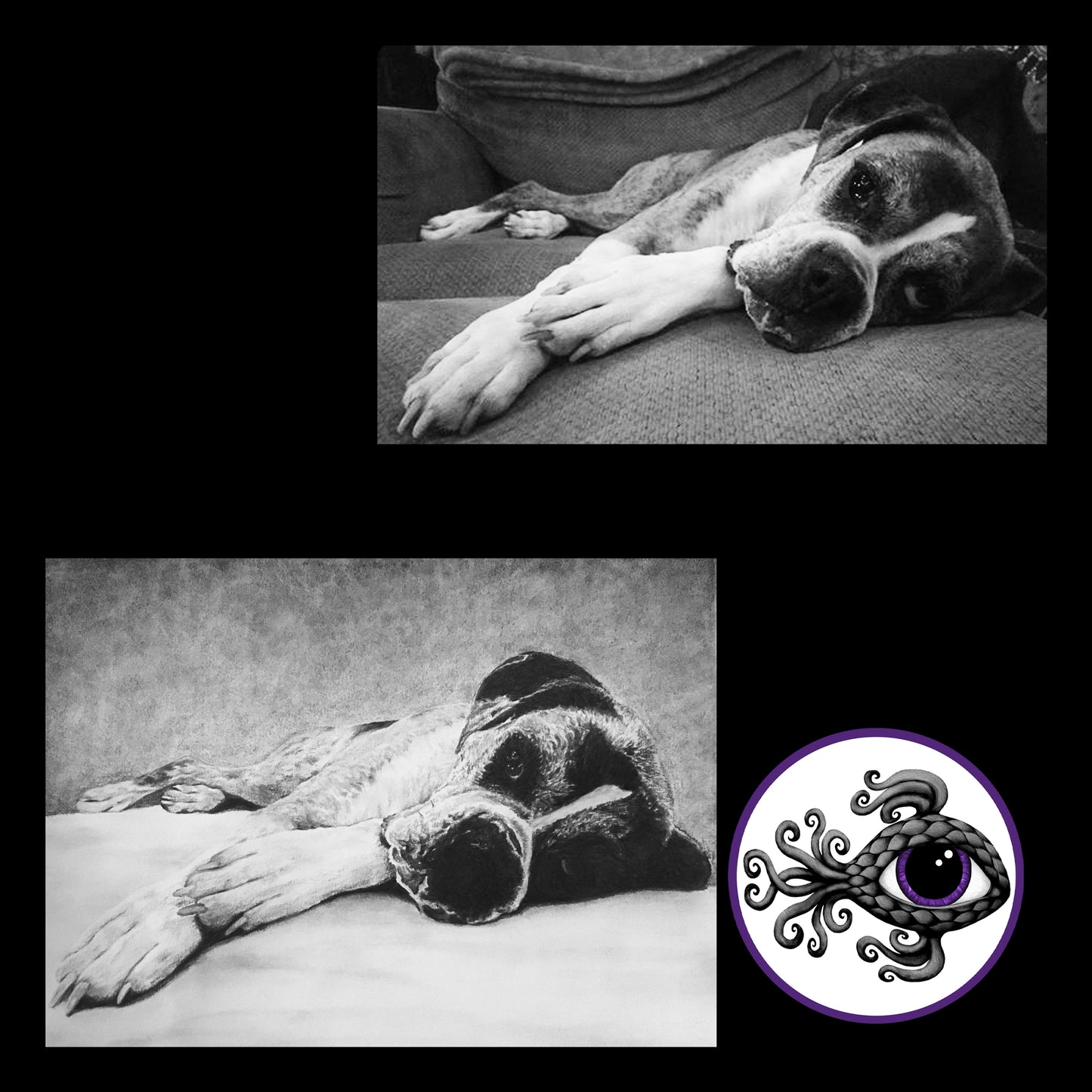 Custom Pet Portrait Charcoal Drawing - 11"x14"