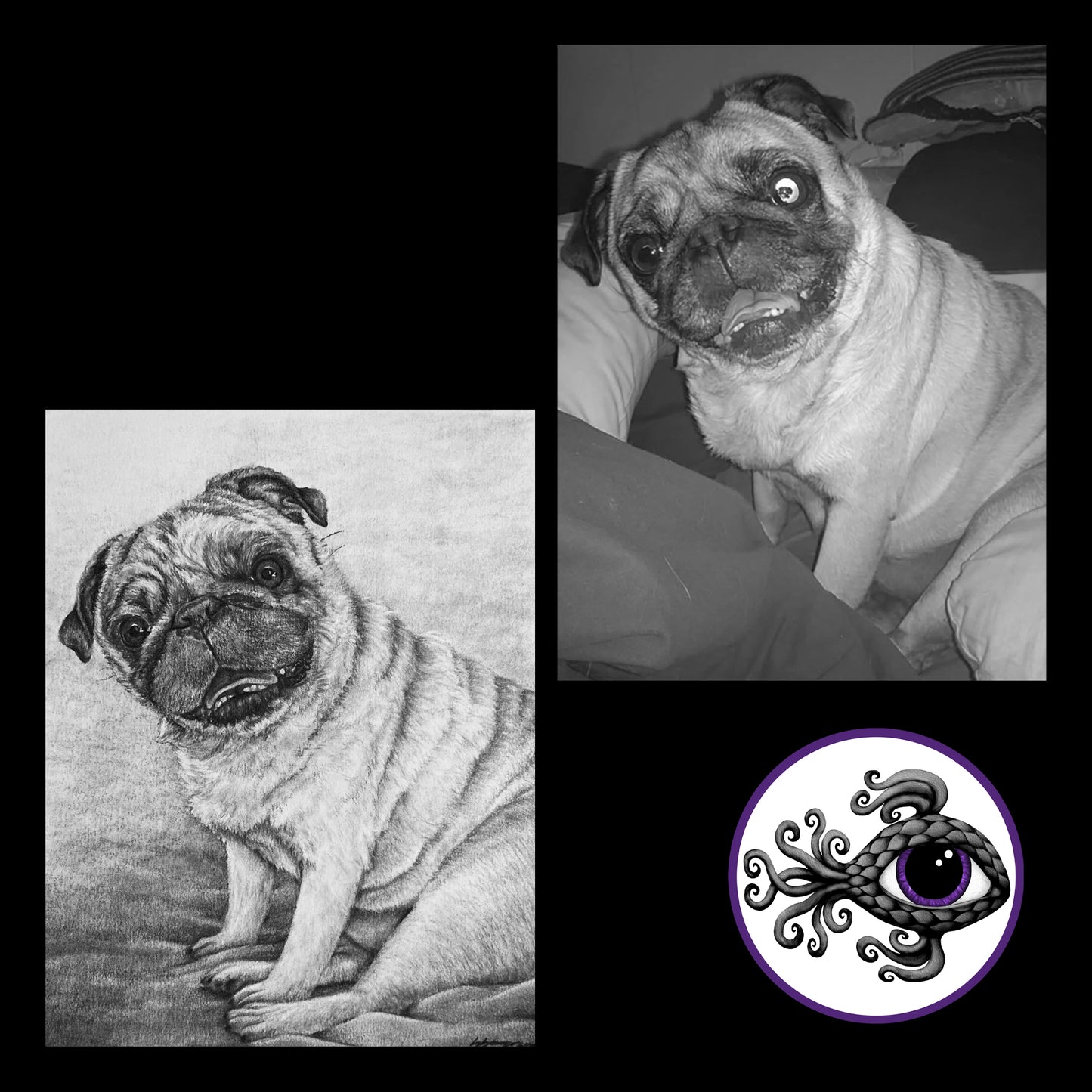 Custom Pet Portrait Charcoal Drawing - 11"x14"
