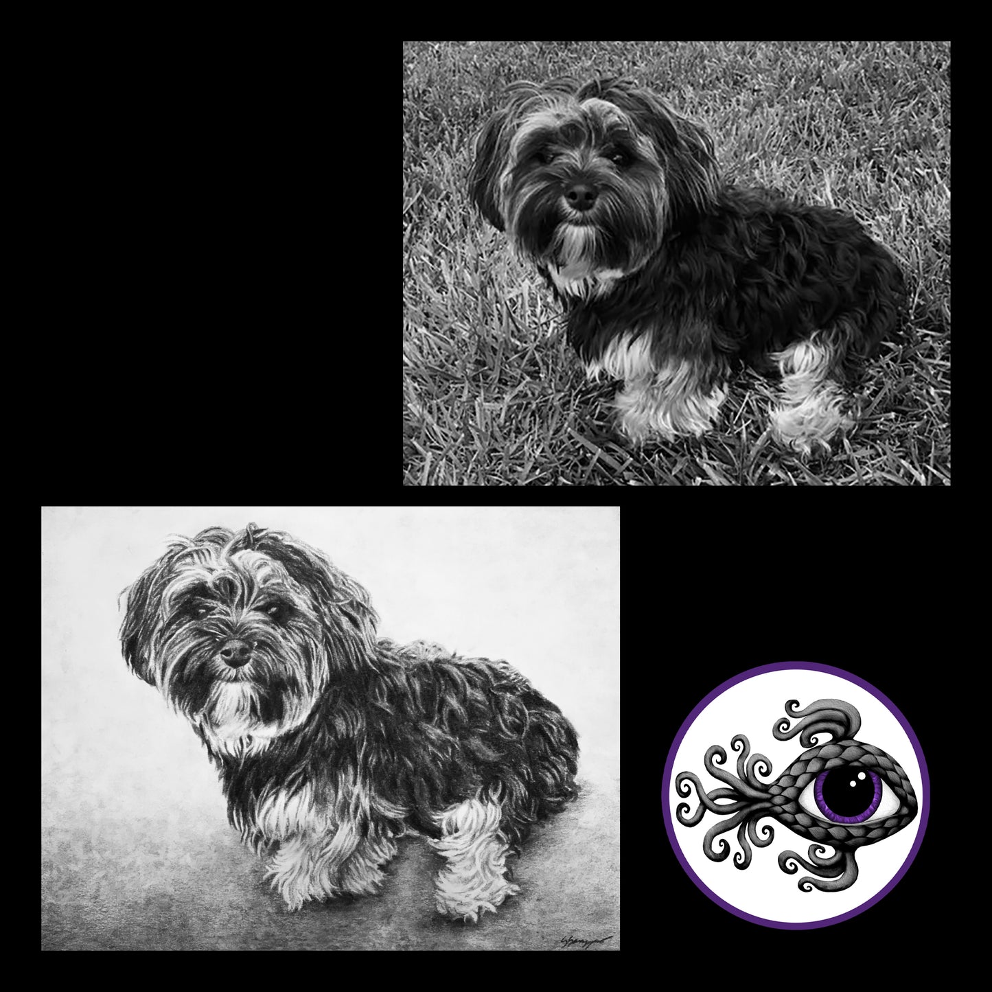 Custom Pet Portrait Charcoal Drawing - 11"x14"