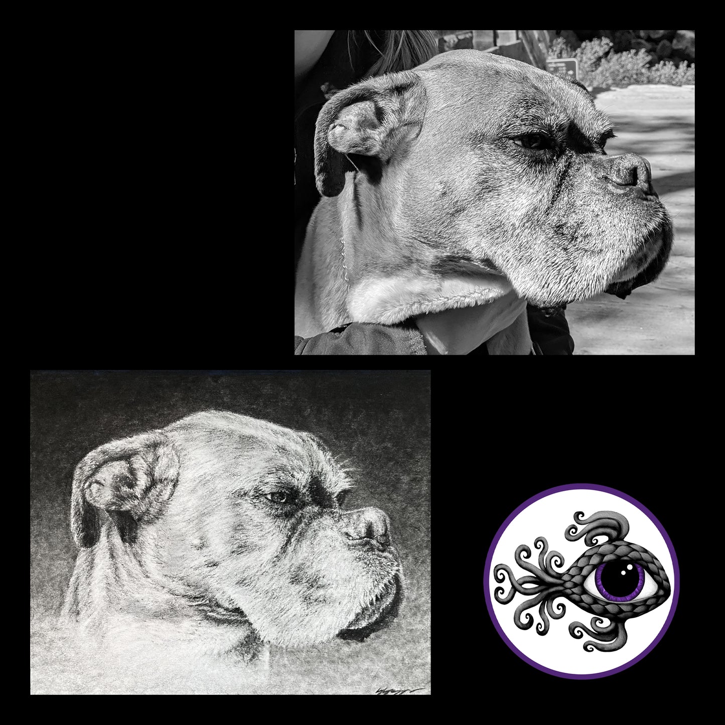 Custom Pet Portrait Charcoal Drawing - 8"x10"