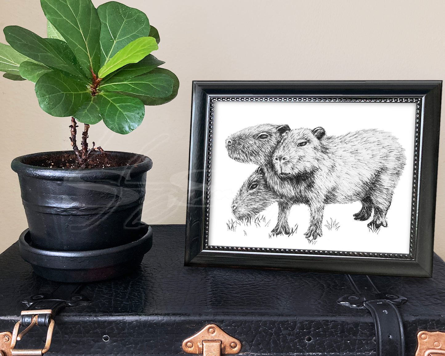 Capybara - Print of Original Pen & Ink Drawing