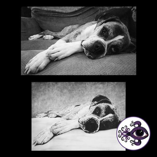 Custom Pet Portrait Charcoal Drawing - 11"x14"