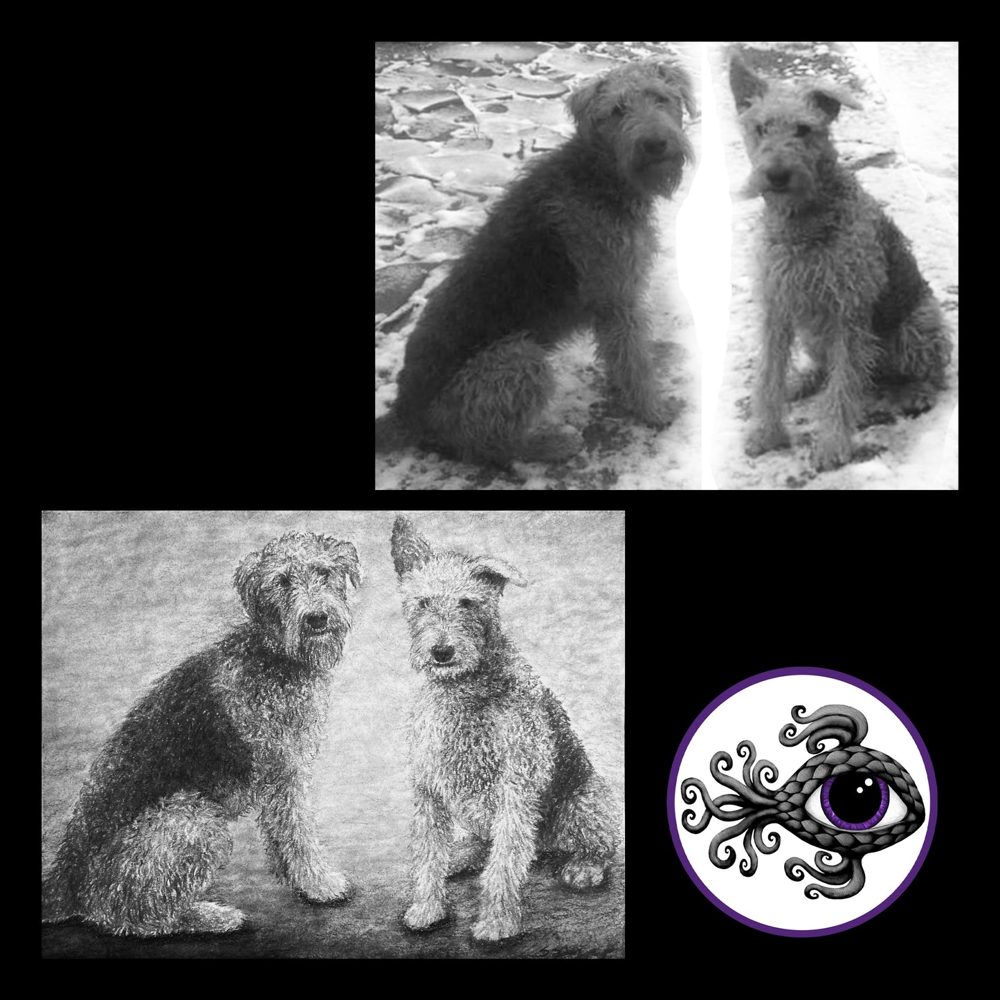 Custom Pet Portrait Charcoal Drawing - 11"x14"