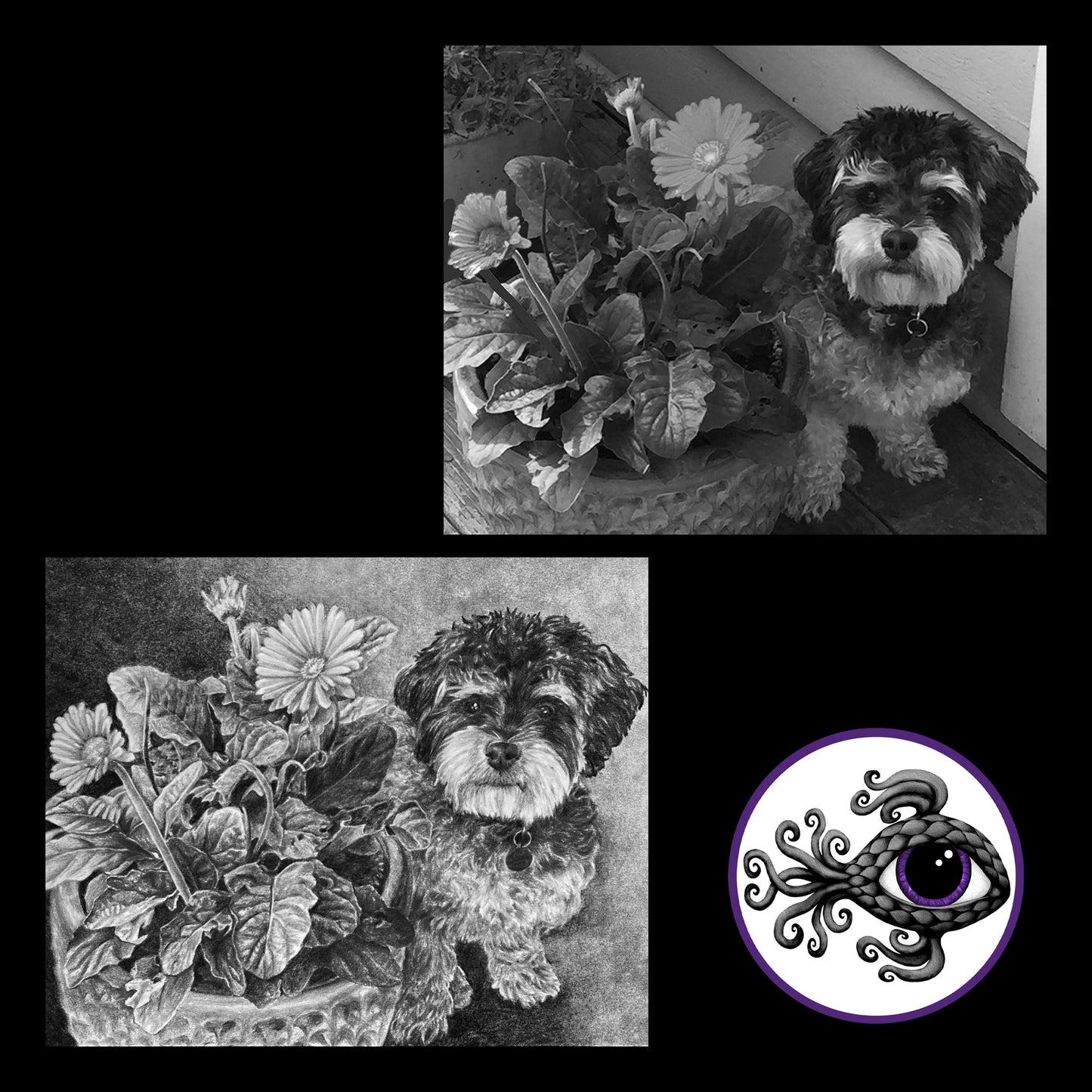 Custom Pet Portrait Charcoal Drawing - 11"x14"
