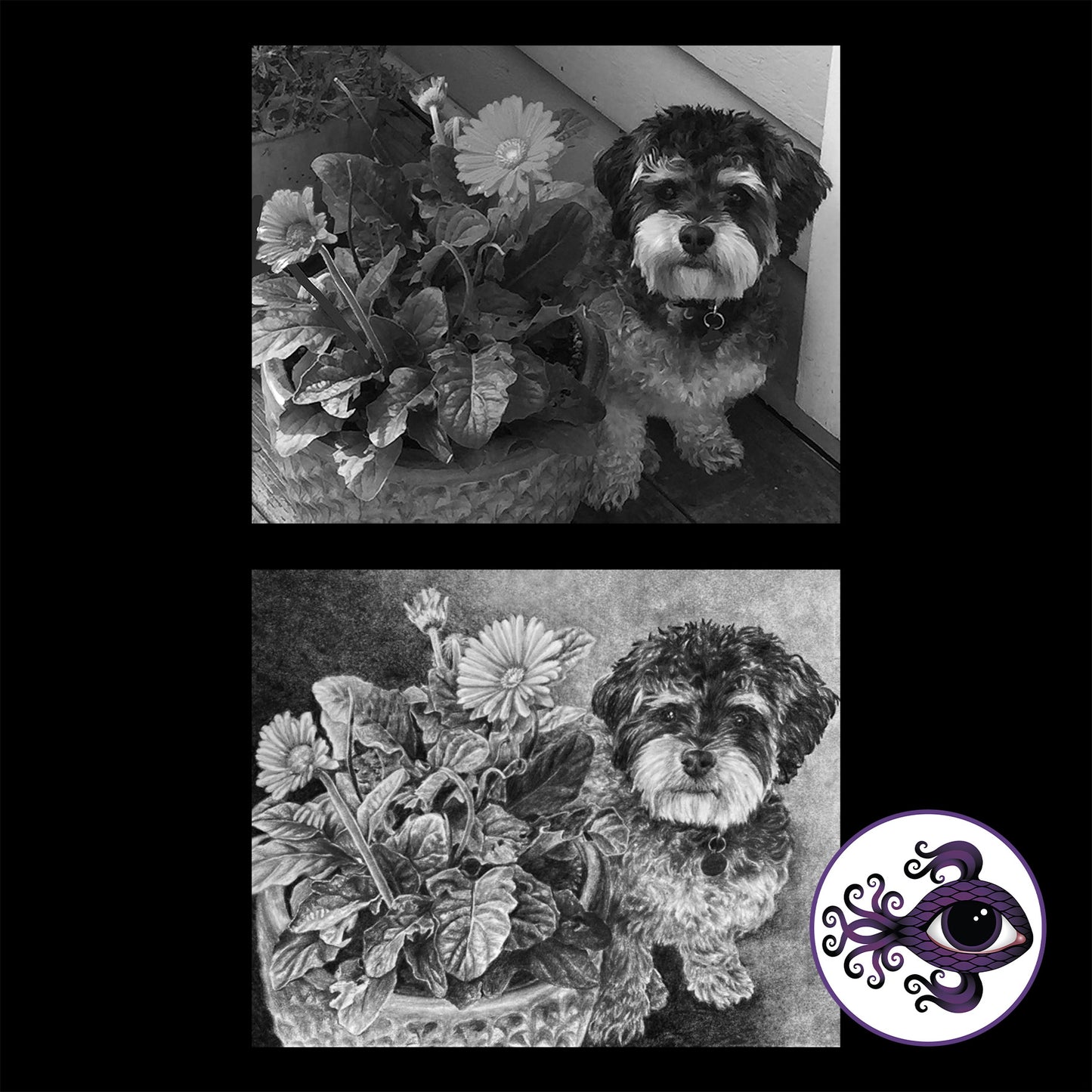Custom Pet Portrait Charcoal Drawing - 11"x14"