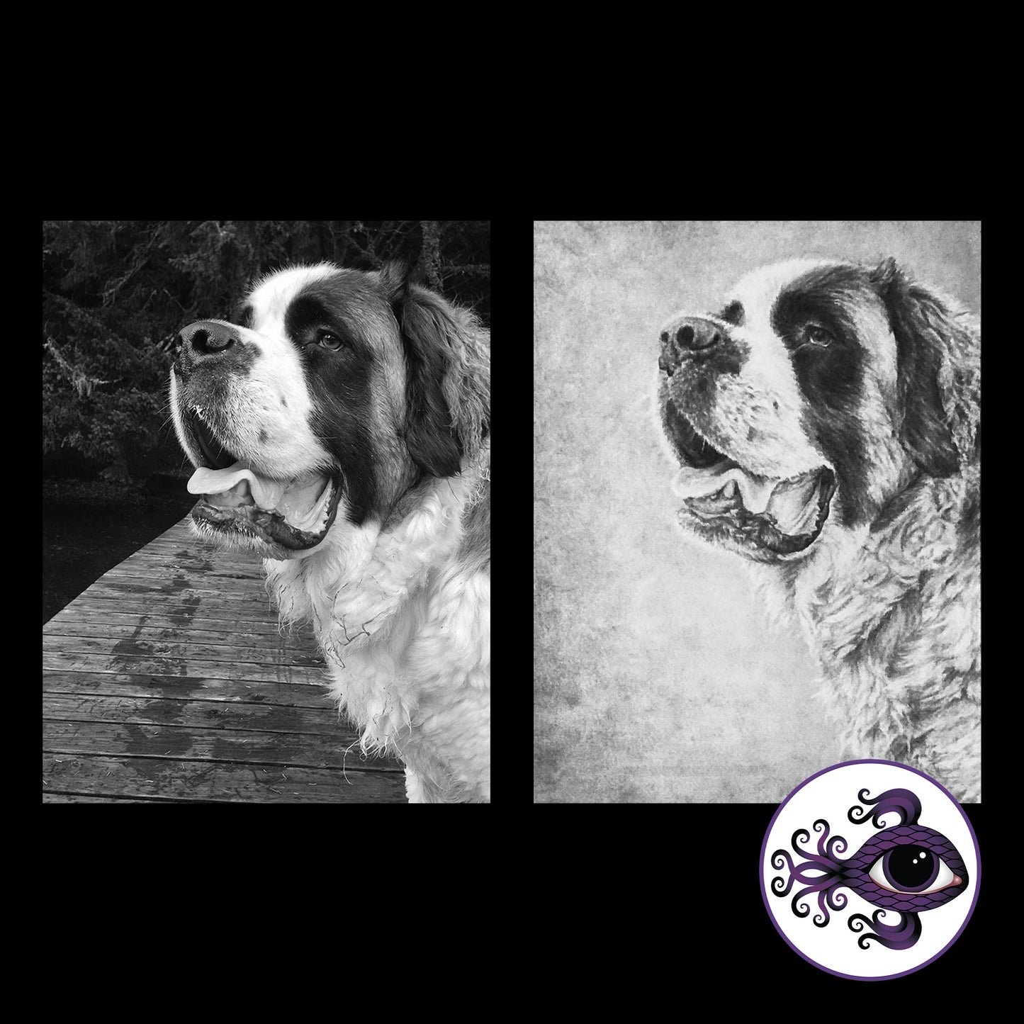 Custom Pet Portrait Charcoal Drawing - 11"x14"