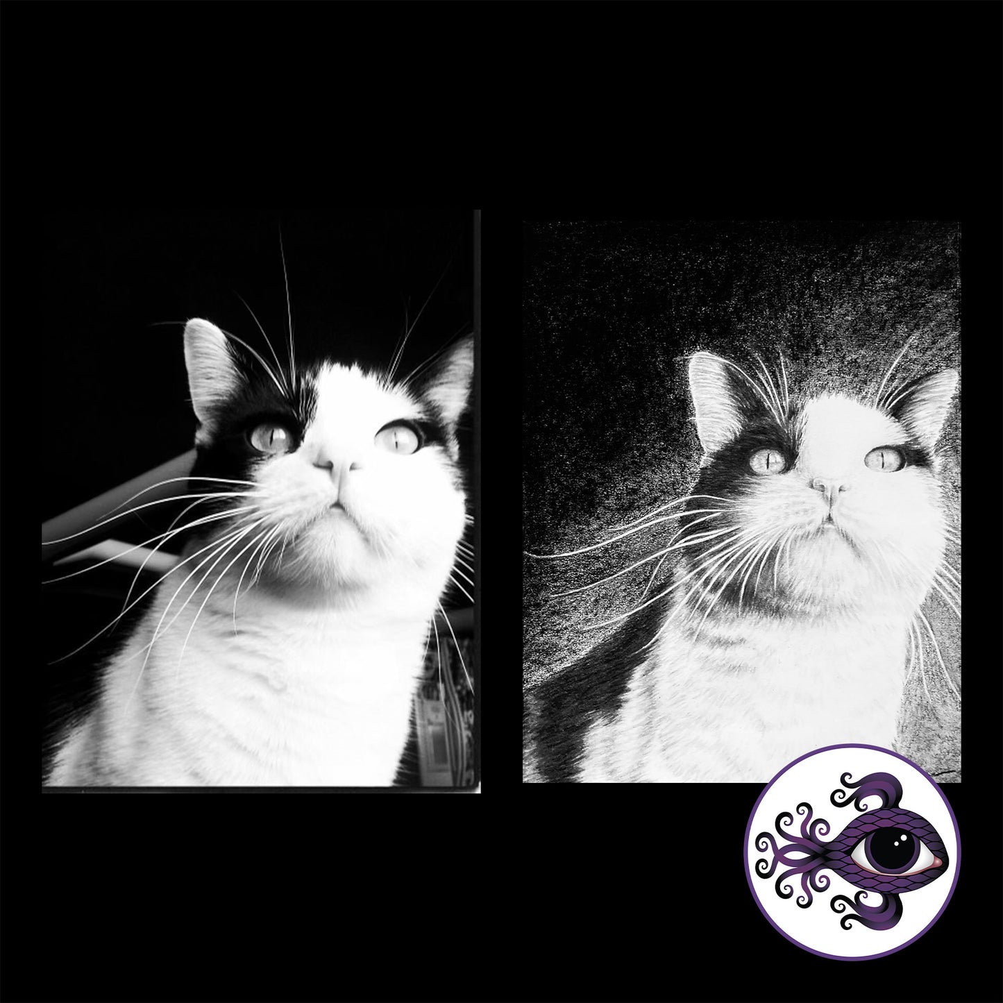 Custom Pet Portrait Charcoal Drawing - 11"x14"