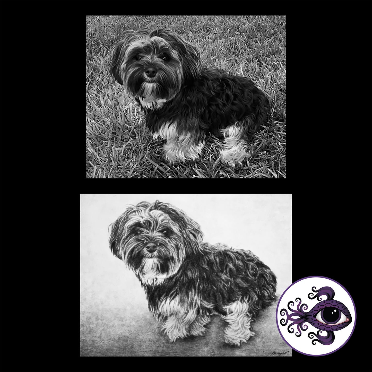 Custom Pet Portrait Charcoal Drawing - 11"x14"