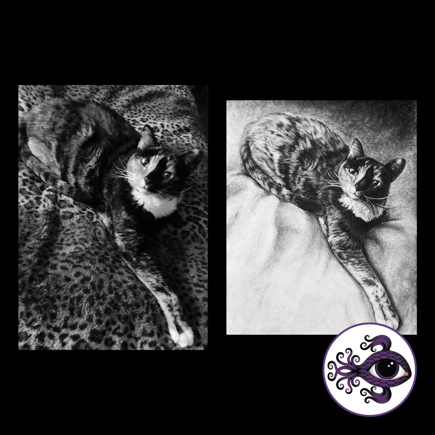 Custom Pet Portrait Charcoal Drawing - 11"x14"