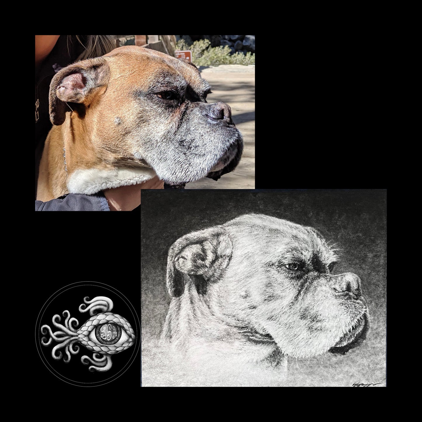 Custom Pet Portrait Charcoal Drawing - 11"x14"