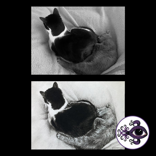 Custom Pet Portrait Charcoal Drawing - 5"x7"