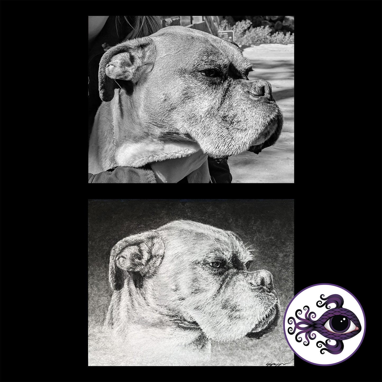 Custom Pet Portrait Charcoal Drawing - 8"x10"