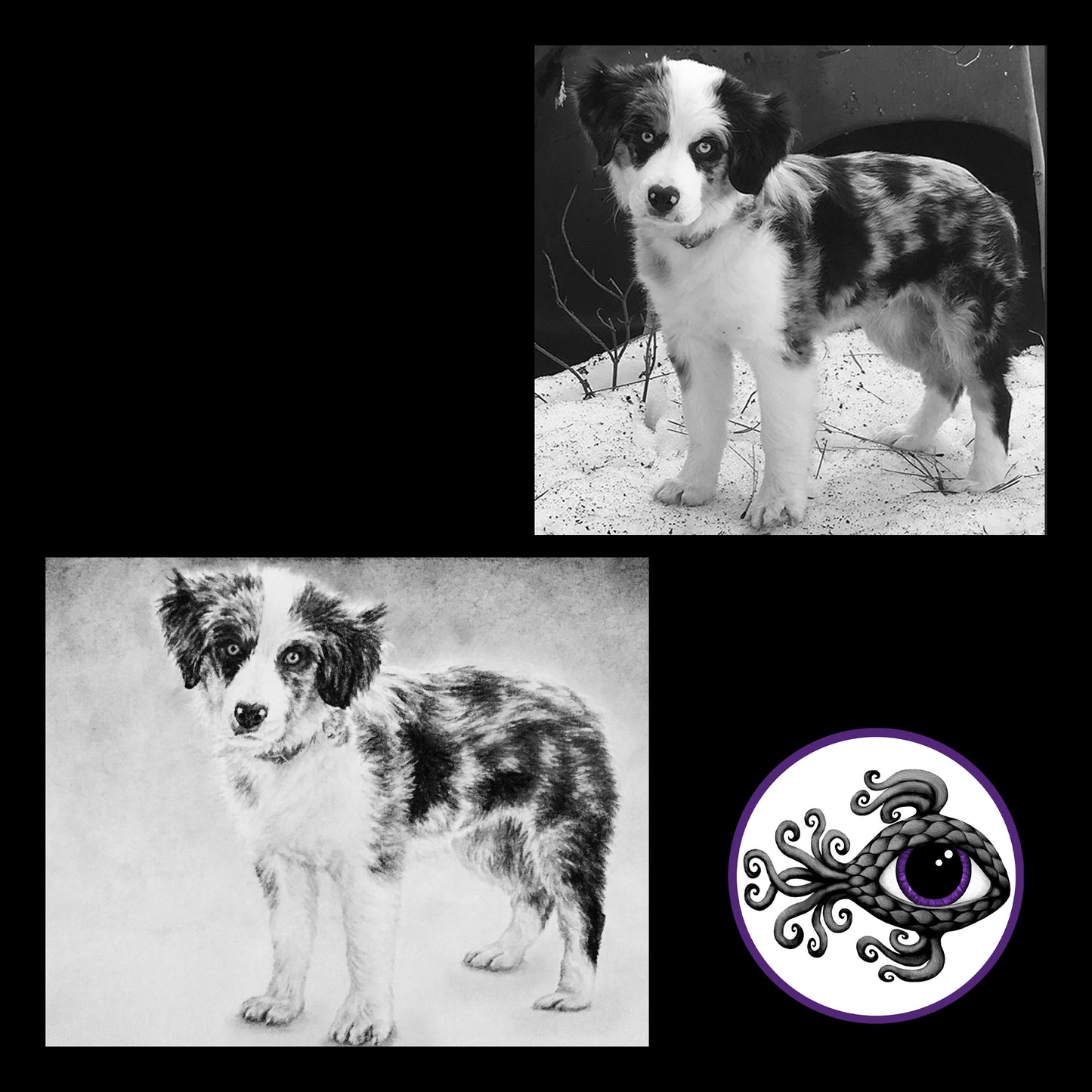 Custom Pet Portrait Charcoal Drawing - 8"x10"