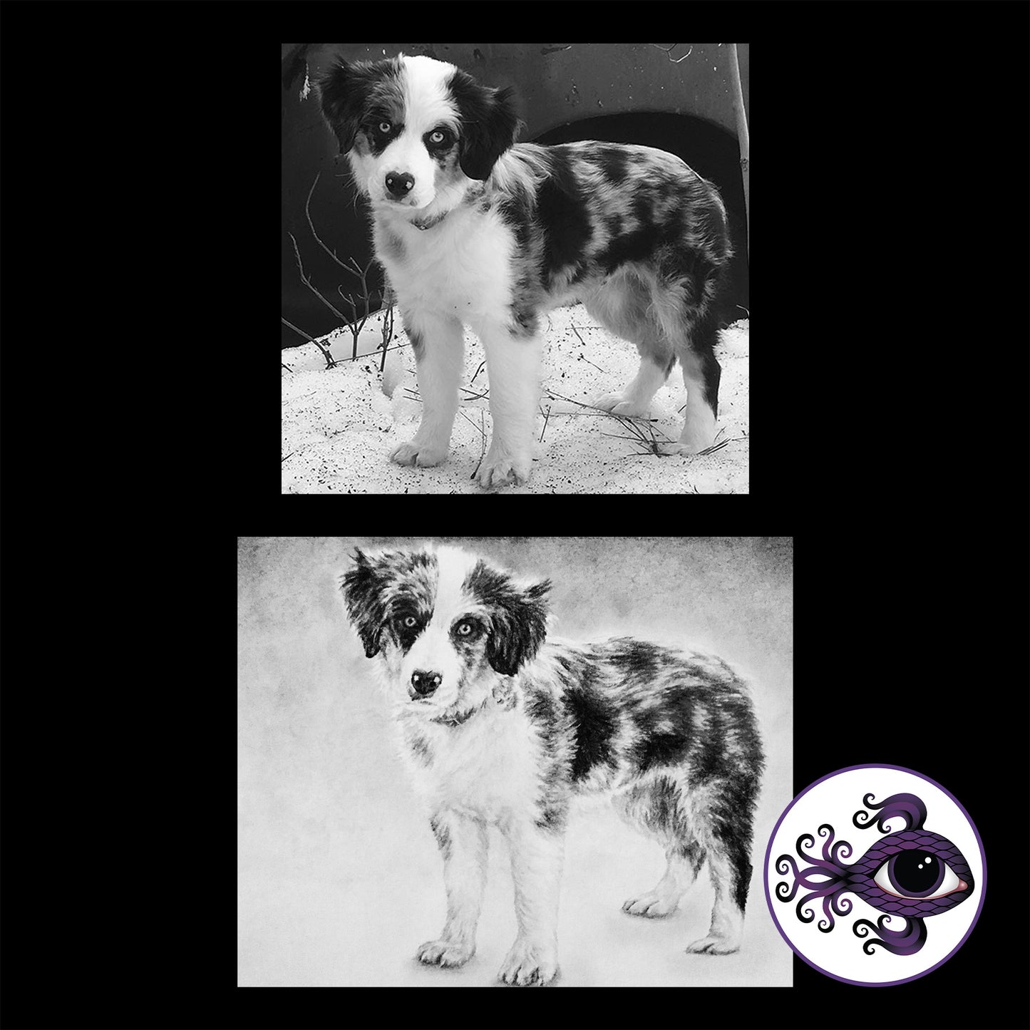 Custom Pet Portrait Charcoal Drawing - 8"x10"