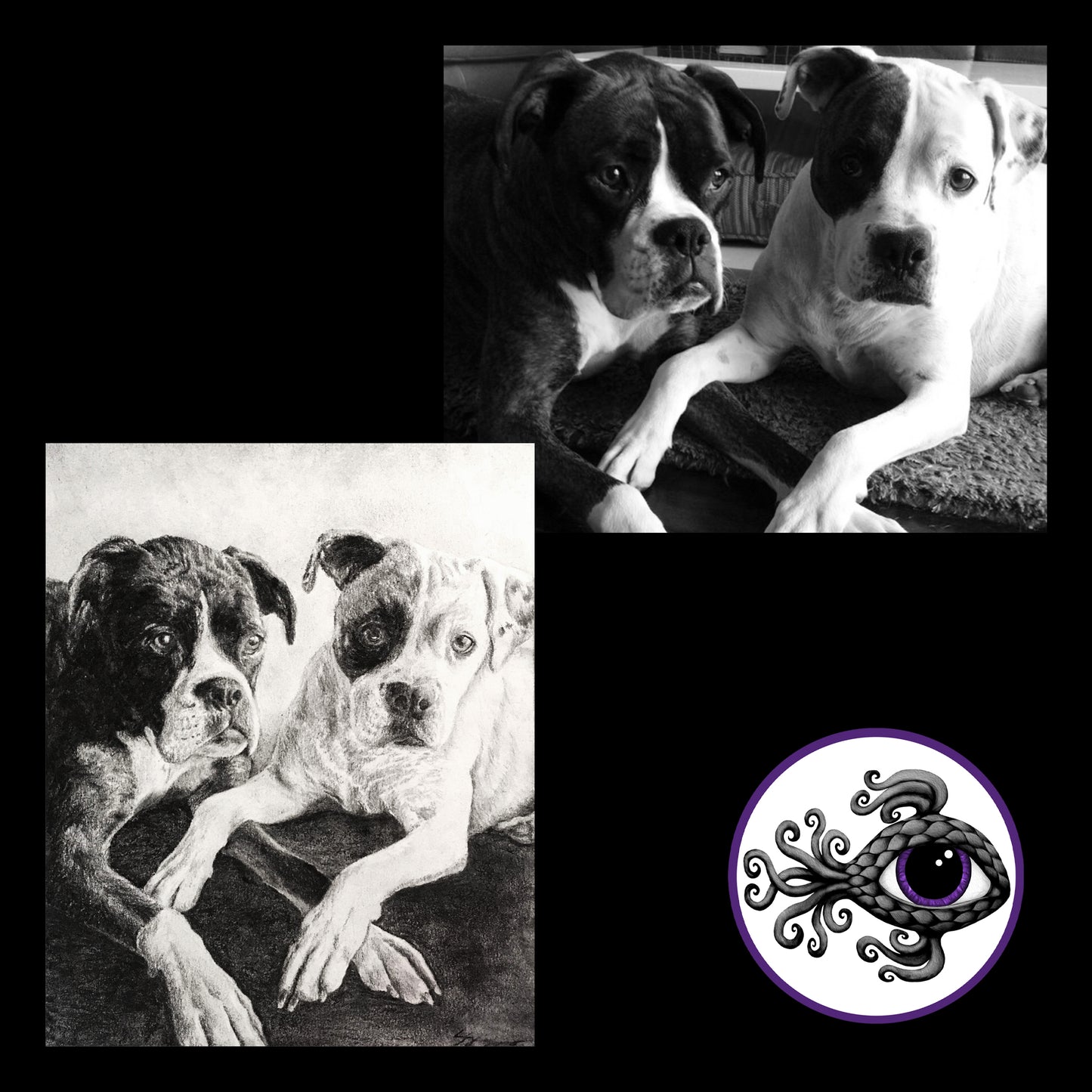Custom Pet Portrait Charcoal Drawing - 8"x10"