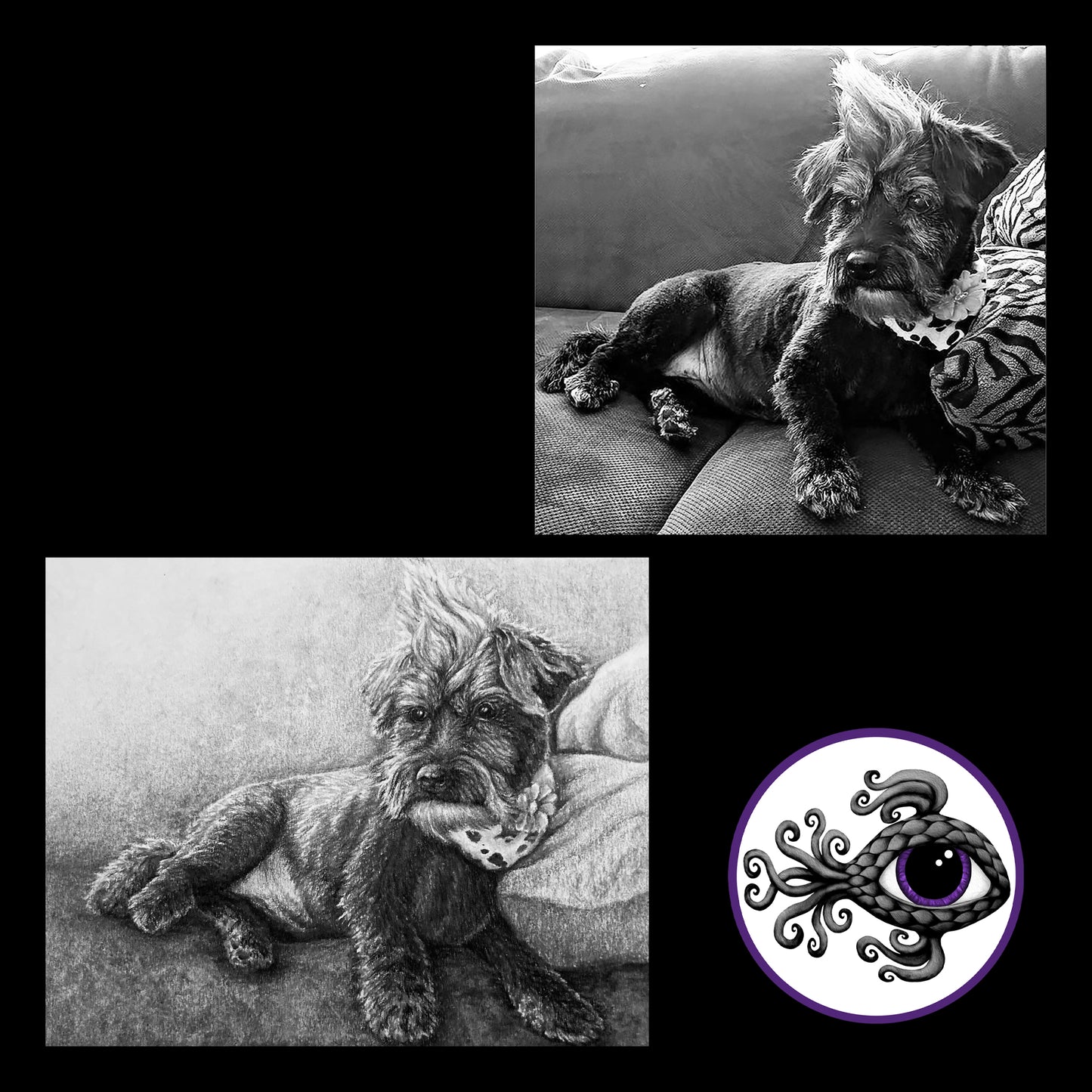 Custom Pet Portrait Charcoal Drawing - 8"x10"