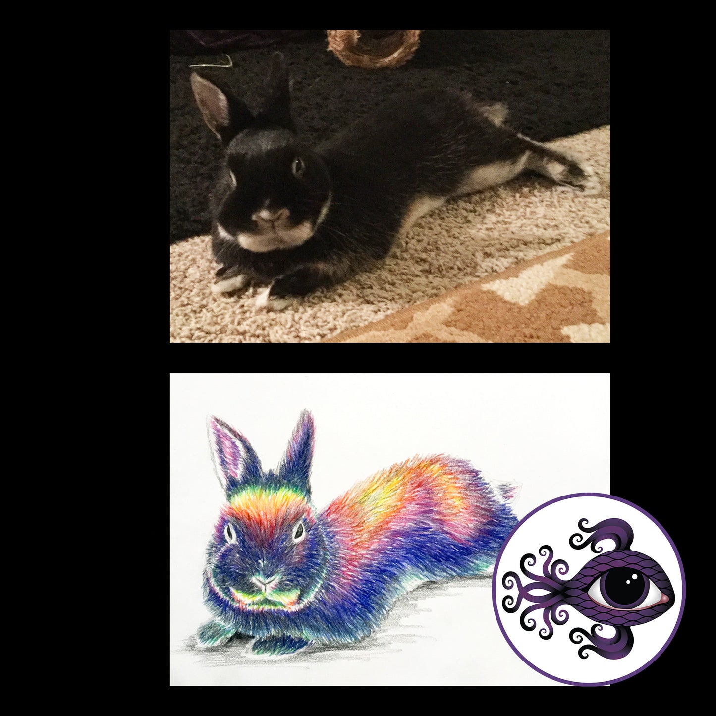 Custom Pet Portrait Rainbow Colored Pencil Drawing
