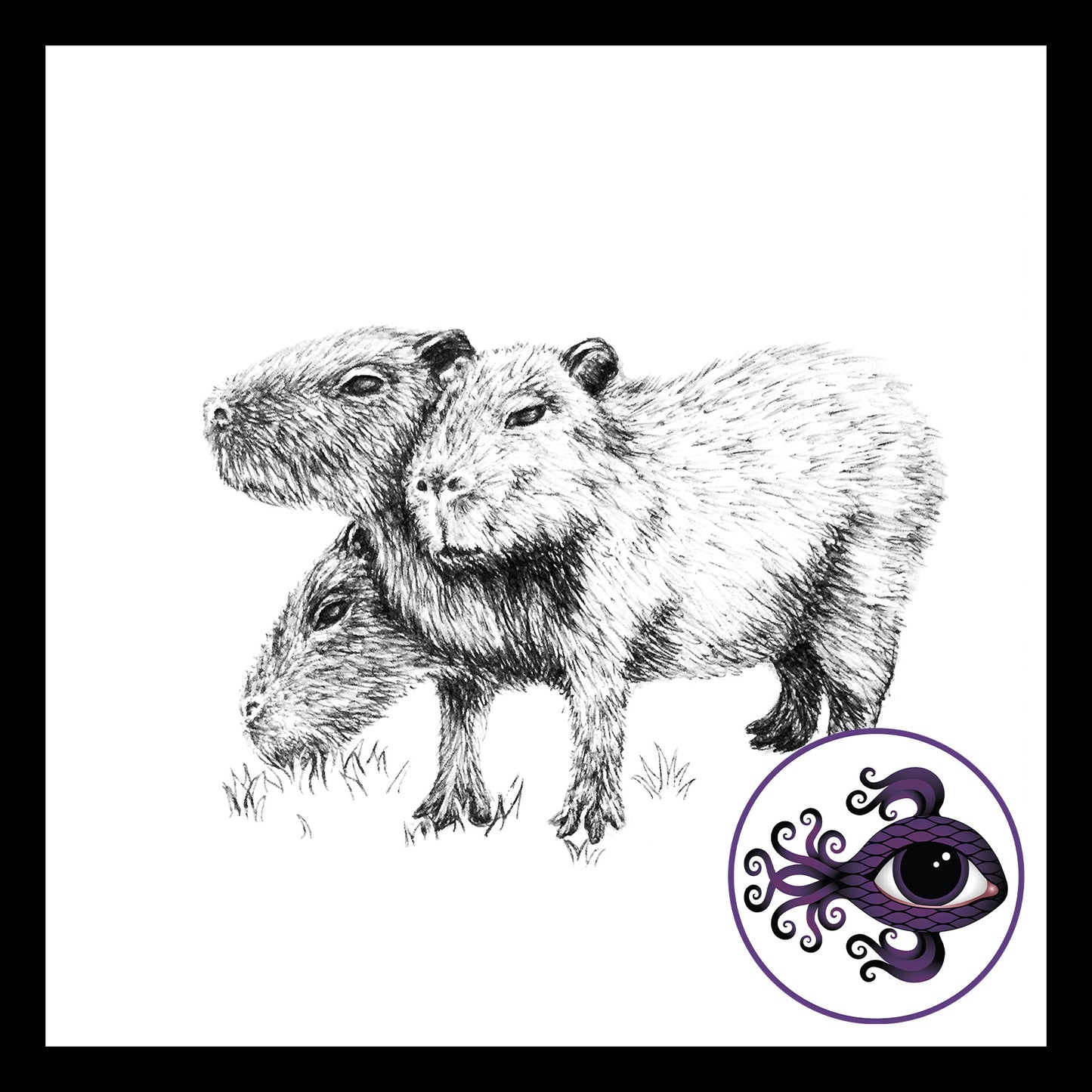 Capybara - Print of Original Pen & Ink Drawing